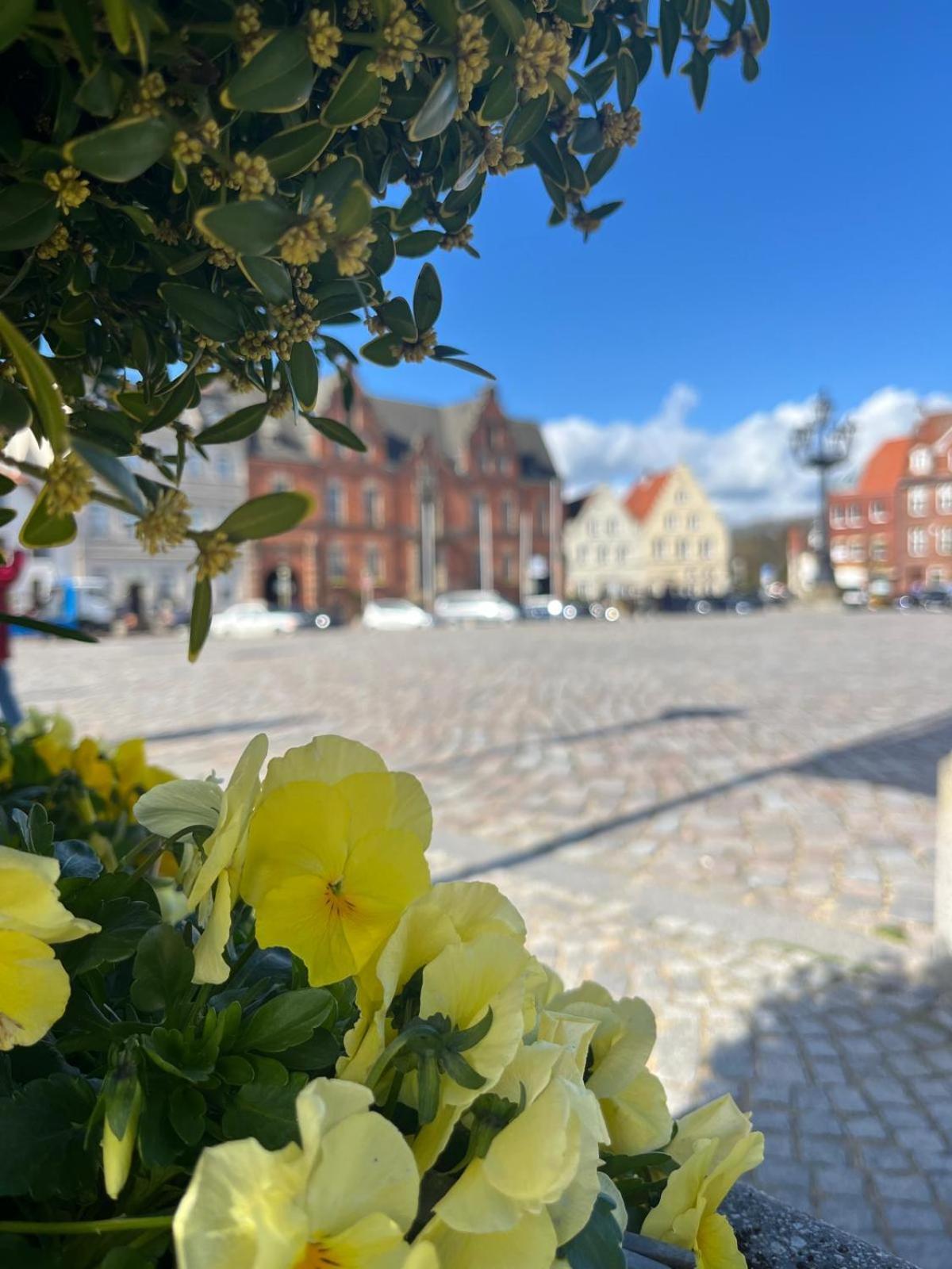 Lykkefund - Ferienwohnungen In Hafennaehe Glückstadt Buitenkant foto